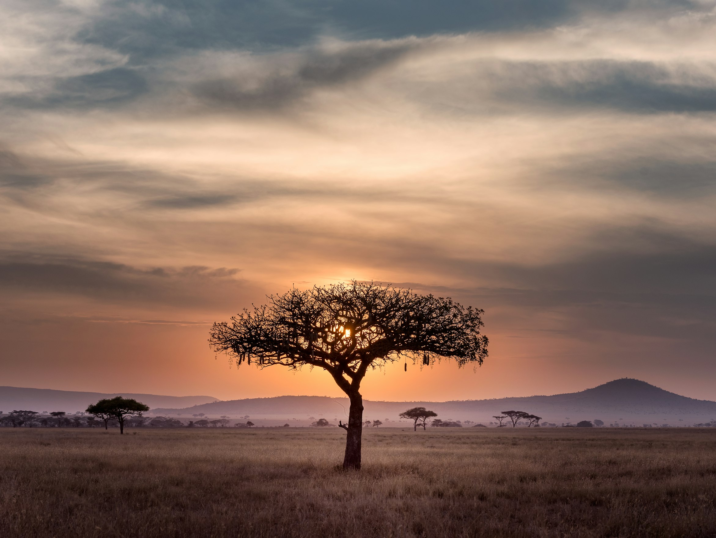 Safari vehicle in Kenya's Masai Mara